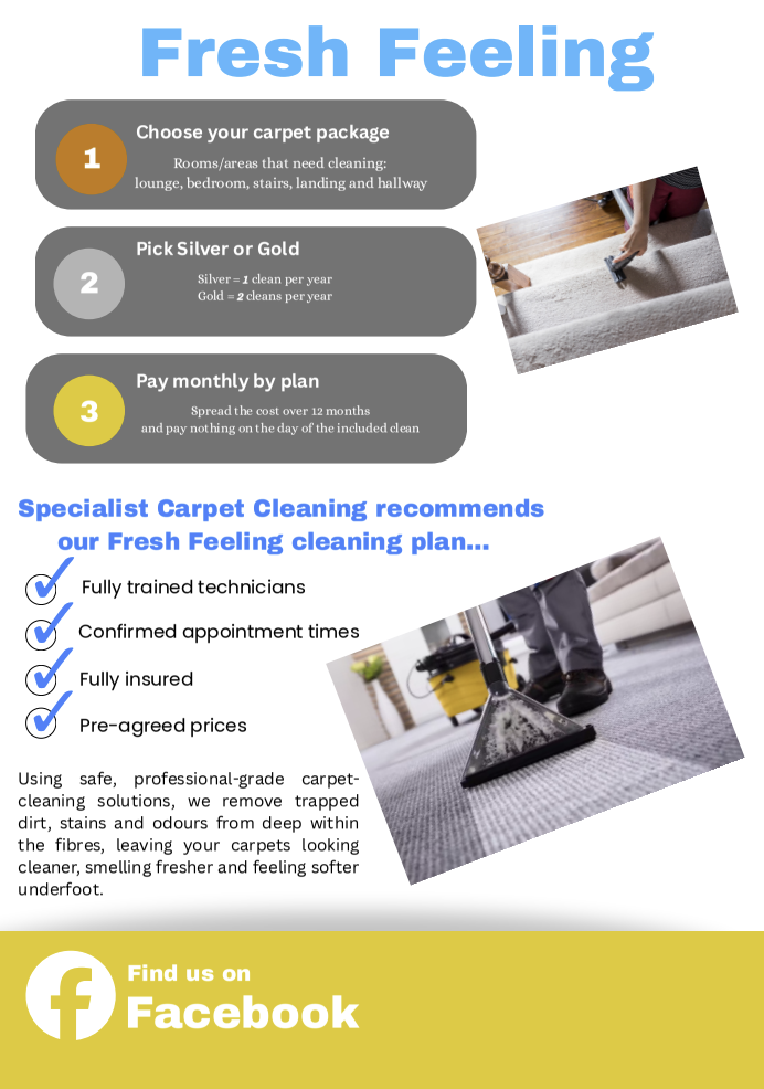 Annual Cleaning Plan brochure page 2